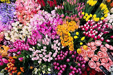 《卧龙：苍天陨落》董卓等介绍：顺我者昌逆我者亡